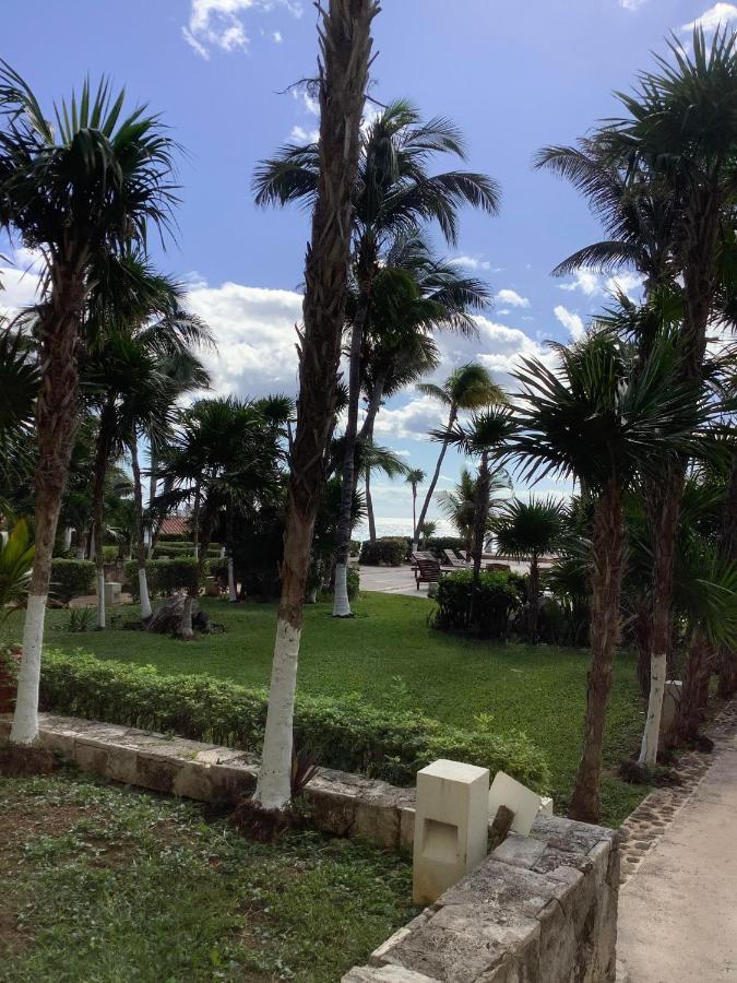 קנקון Beachaccess Hotelzone 3705 מראה חיצוני תמונה